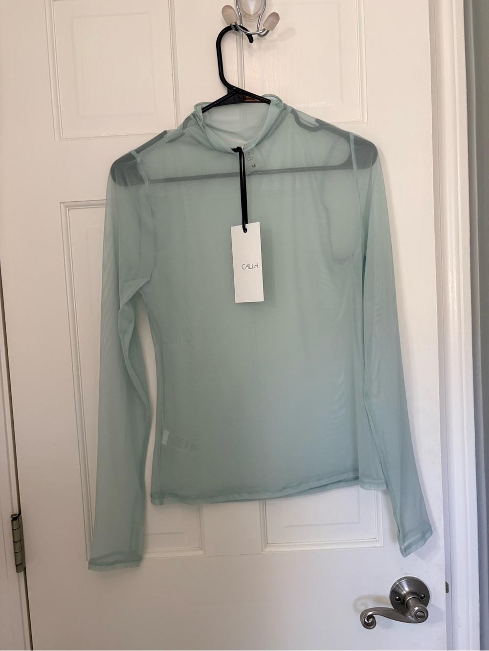 Sheer Long-Sleeve Hooded Top